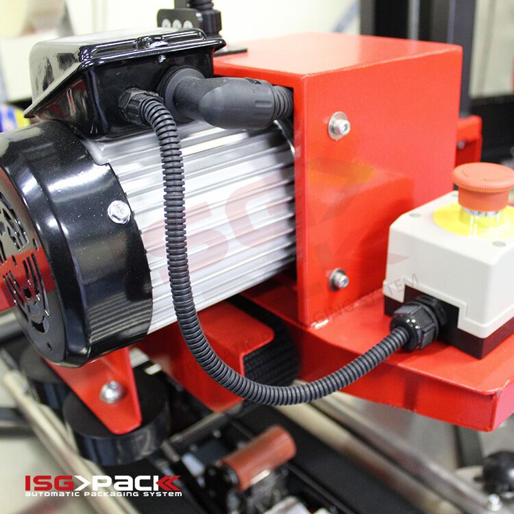 6 - DETTAGLIO-MOTORE-RULLI